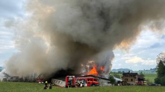 Environ 800 porcs ont péri dans un incendie vers Saint-Gall