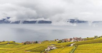 L'EPFL lance un projet participatif pour évaluer la santé du Lac Léman