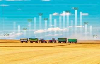 Combien de céréales les agriculteurs européens récolteront-ils ? Plans de culture et prévisions de récolte
