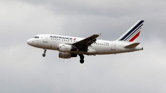 « J'ai cru que l'avion allait exploser » : les passagers d'un vol Los-Angeles-Paris débarqués après une « odeur de chaud »