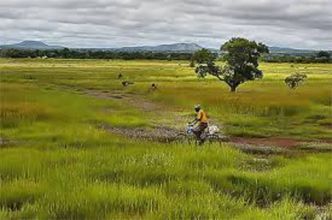 Burkina: 8 577 429 ha de terre agricole toujours vierge