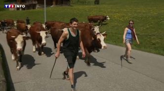 REPORTAGE - "C'est féérique" : on a suivi une famille des Alpages à La Clusaz | TF1 INFO