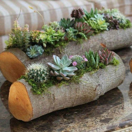 24 idées pour recycler des troncs d’arbres et décorer votre maison avec eux