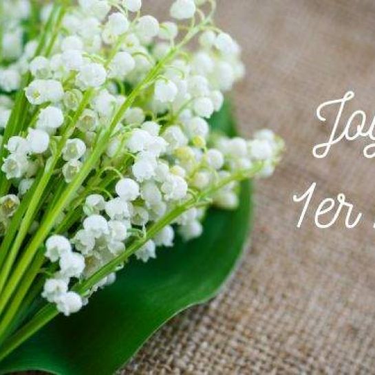 50 Jolis Messages Originaux Pour Fêter un Joyeux 1er Mai.