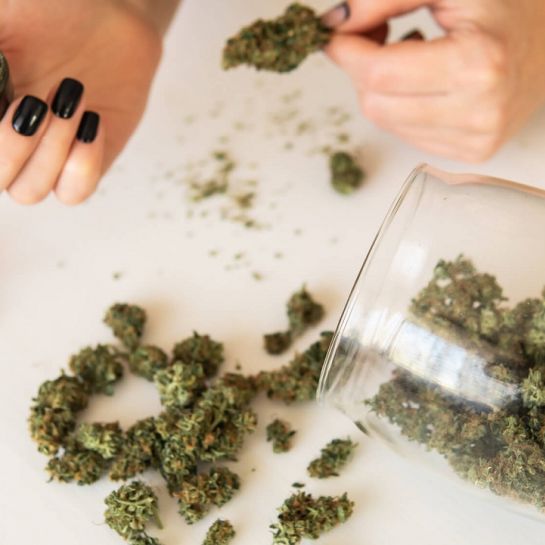 Le cannabis pourrait bientôt être légalisé aux États-Unis